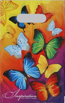 Пакет полиэтиленовый с вырубной ручкой 20х30 Вдохновение