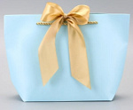 SIMA Пакет подарочный с лентой 19х20х9 Голубой