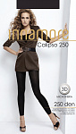 INNAMORE Леггинсы Calipso 250 moka 3
