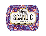 SCANDIC Конфеты без сахара Клубничный микс