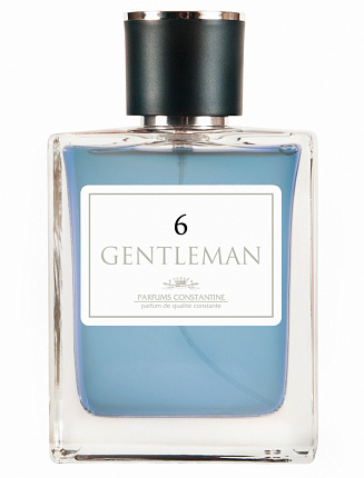 Туалетная вода 100мл Gentleman 6