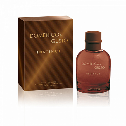 Туалетная вода мужская Domenico&Gusto Instinct 100 мл